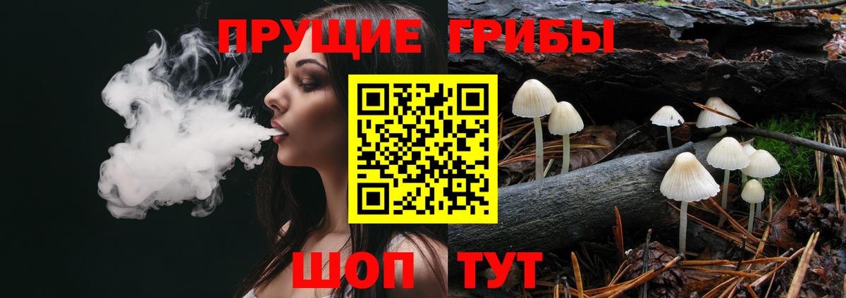 Псилоцибиновые грибы мицелий Гурьевск