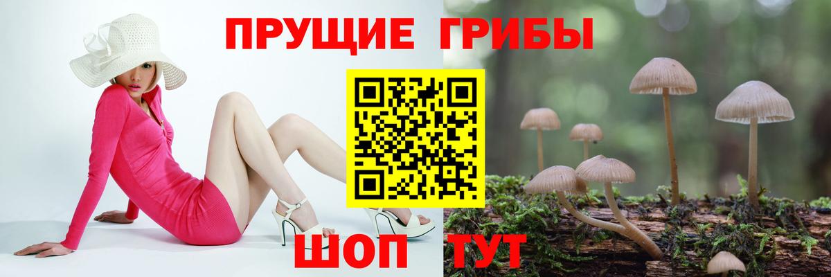 Галлюциногенные грибы Psilocybe  Вход с VPN  Галлюциногенные грибы ЛСД  Гурьевск 